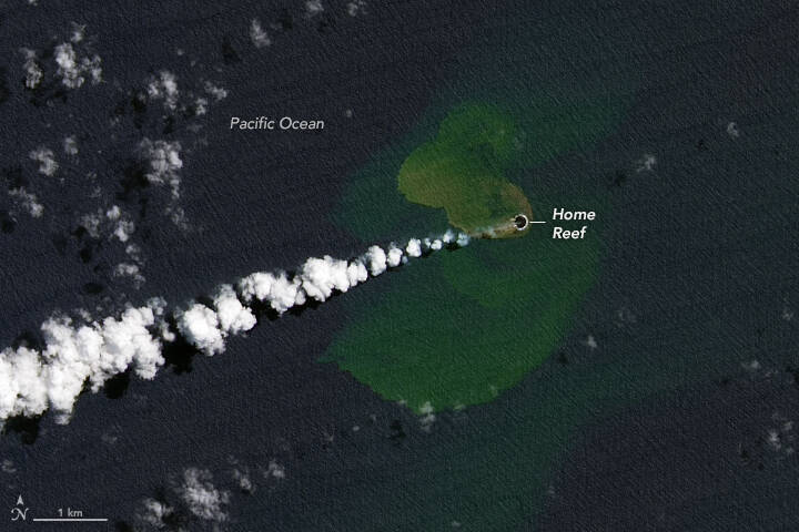 东加海底火山「家礁」近日喷发催生出一座新生岛。（图取自NASA地球观测站）(photo:LTN)