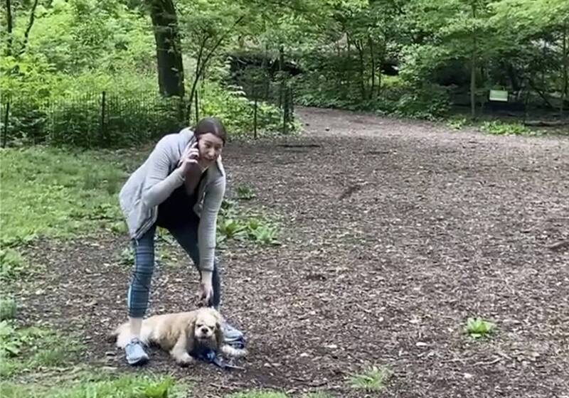 美国白人女子2020年在纽约中央公园遛狗时，诬陷非裔男子威胁到她的性命，事后她遭到公司开除却反告非法解雇。（美联社）(photo:LTN)