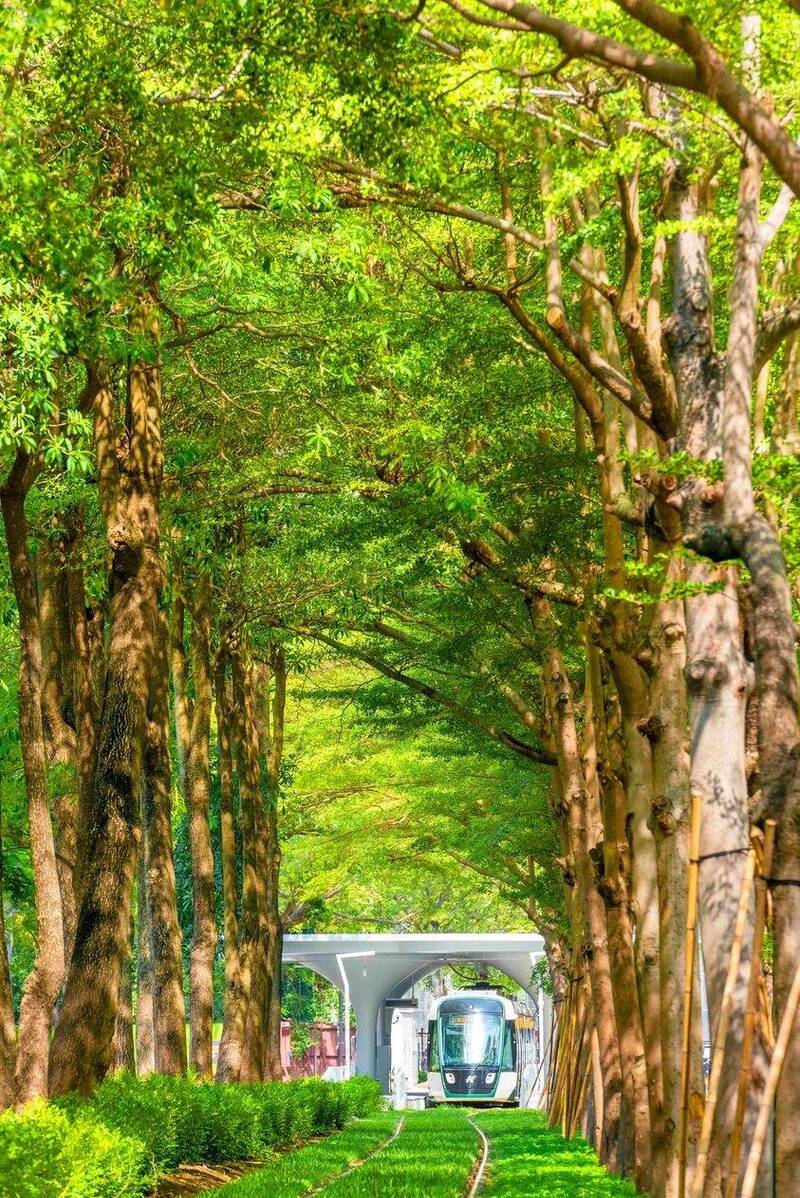 即將通車的高雄輕軌新路段太美，吸引許多民眾前往拍照打卡，捷警提醒別闖入軌道區，違者將開罰。（翻攝高雄好過日）