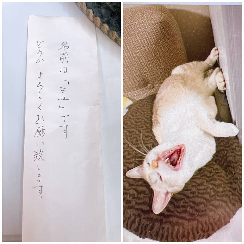 日本1名独居猫奴在临死前留下2句话的遗书，希望未来有人能好好继续照顾好自己的爱猫。（图翻摄自推特）(photo:LTN)