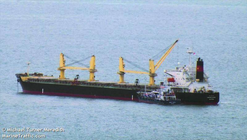 越南籍「VIMC SUNRISE」雜貨輪，17日在麥寮海域發生4名船員落海意外。（民眾提供）