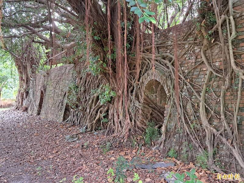 大寮天空之城！共益磚窯廠認養揭牌 參訪採預約制