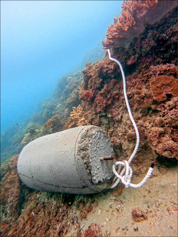 綁浮球大水泥塊砸壞墾丁珊瑚礁。（潛客提供）