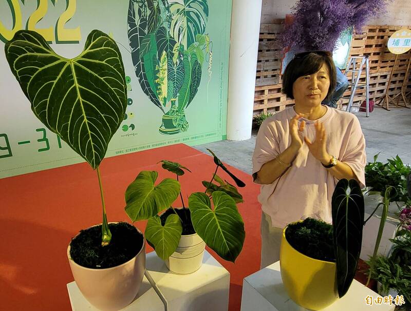 這次不看花！台灣熱帶雨林、觀葉植物精品大賞29日埔里登場- 生活- 自由