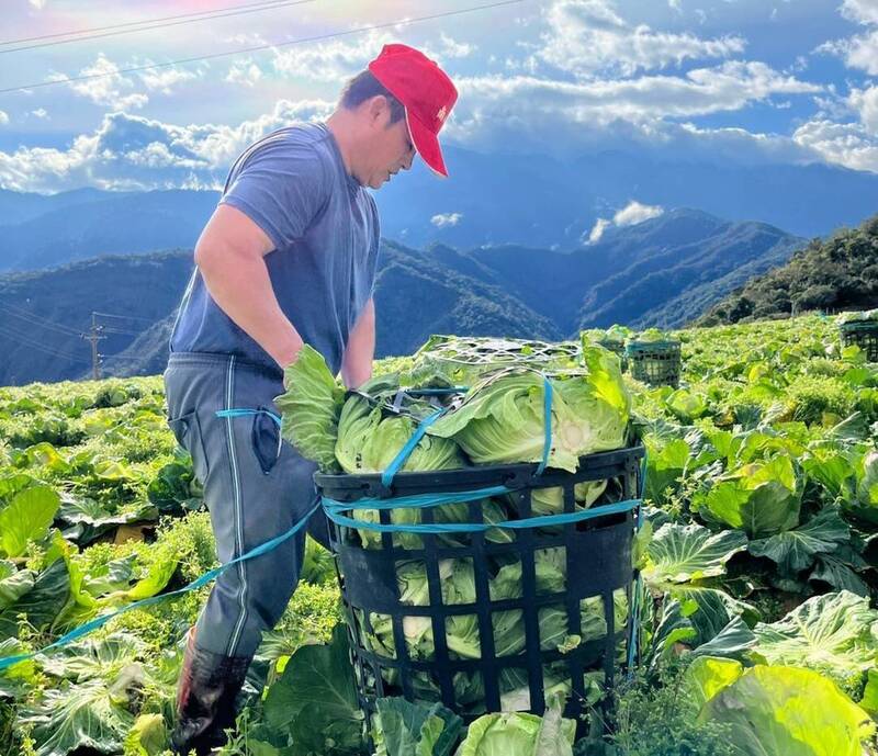 農糧署輔導大同鄉四南地區菜農申請產銷履歷驗證。（三星地區農會提供）