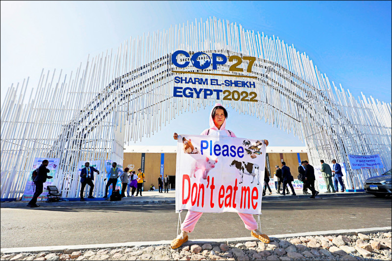 美国将在联合国气候峰会上与中国竞逐，力求在应对气候变迁方面取得全球主导地位。图为一名环保人士7日在埃及夏姆钖克举行的峰会会场外，举出写有「拜託，请不要吃我」的标语。（路透）(photo:LTN)