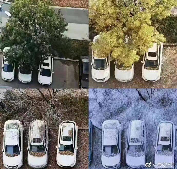 乌鲁木齐封城近百天，有网友拍下3台车从夏天停到冬天的景象。（翻摄微博）(photo:LTN)