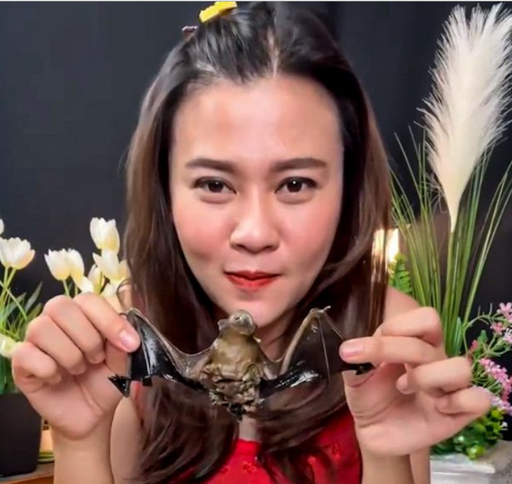 泰国女网红Phonchanok Srisunaklua日前因直播吃蝙蝠被捕。（图翻摄自推特）(photo:LTN)