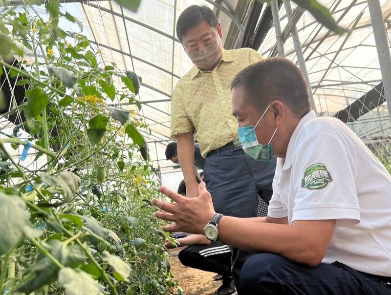 饗賓集團董事長陳啟昌（左）由民進黨太保市長候選人戴光宗（右）邀請參觀溫室。（戴光宗提供）