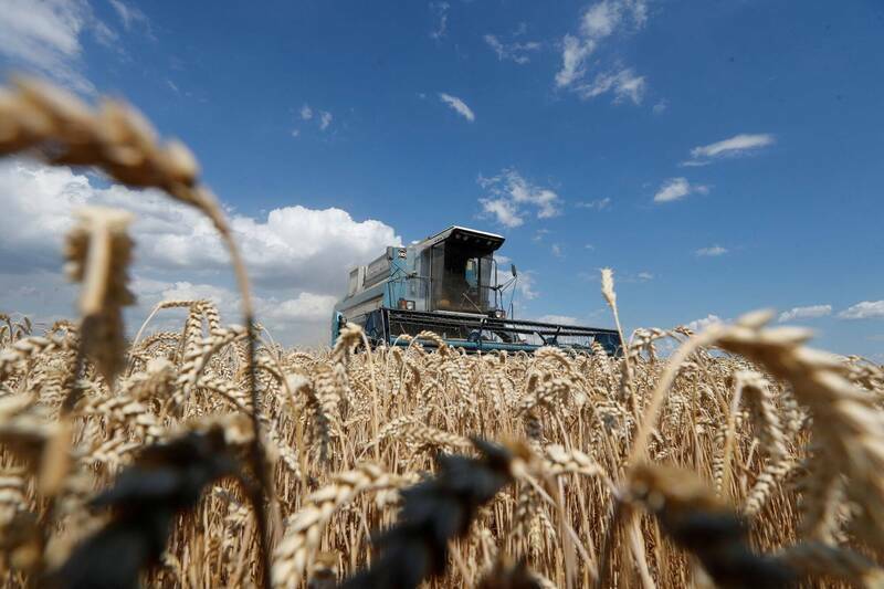 亚洲小麦消费大增，已构成区域粮食安全重大威胁。（路透资料照）(photo:LTN)