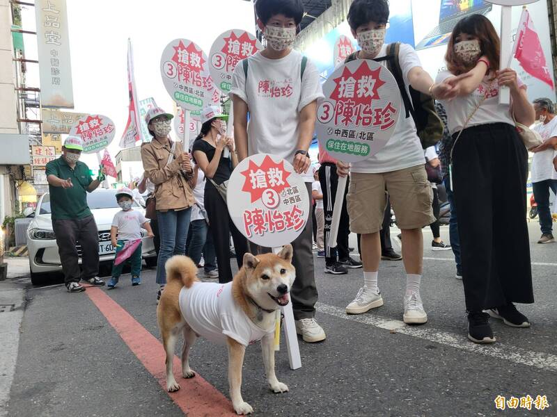 南市議員陳怡珍的支持者帶著家中毛孩一起加入遊行行列。（記者王姝琇攝）