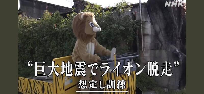 大阪動物園演習「圍捕逃脫獅子」 網吐槽︰也太ㄎ一ㄤ了吧！