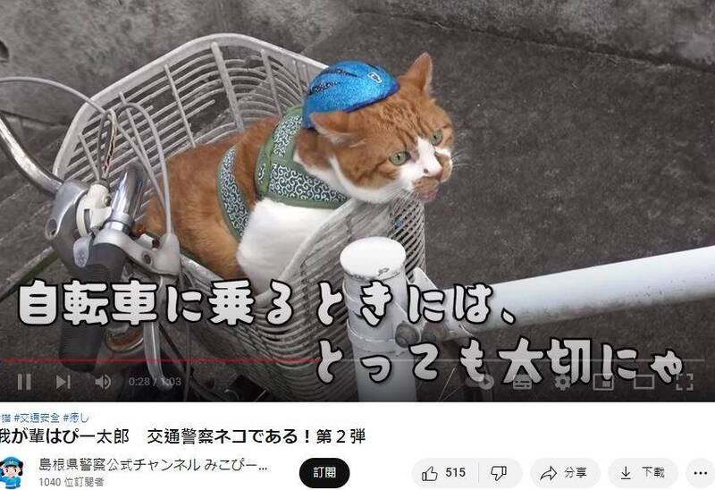 日本波麗士大人收編胖橘貓成交警 頭戴安全帽「巡邏」擄人心