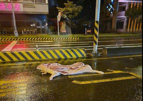 路上驚見「降肉」！ 網笑：在地美食