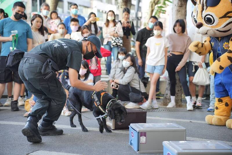 台中市警犬今天沒上班，到草悟道「獻藝」推廣公益桌曆義賣。（警犬隊提供）