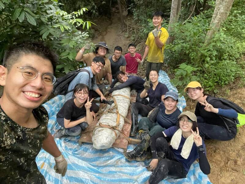 成大與科博館及海內外學者、學生組成的研究團隊在屏東恆春發掘出台灣史上最完整鯨魚化石。（成大提供）