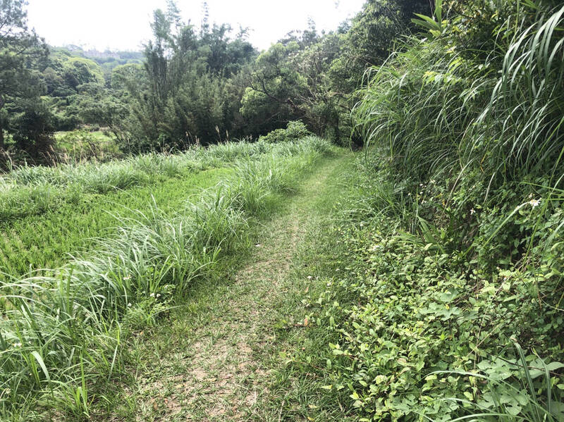 桃園市楊梅區校前路通往秀才路769巷間的聯絡道路，過去僅可供農用機具通行。（桃園市政府水務局提供）