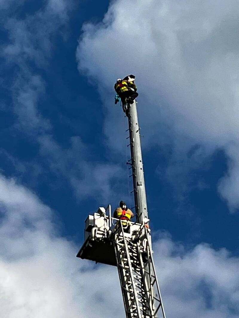 超罕見！ 老鷹被高塔避雷針刺中 消防員極限救援救不回