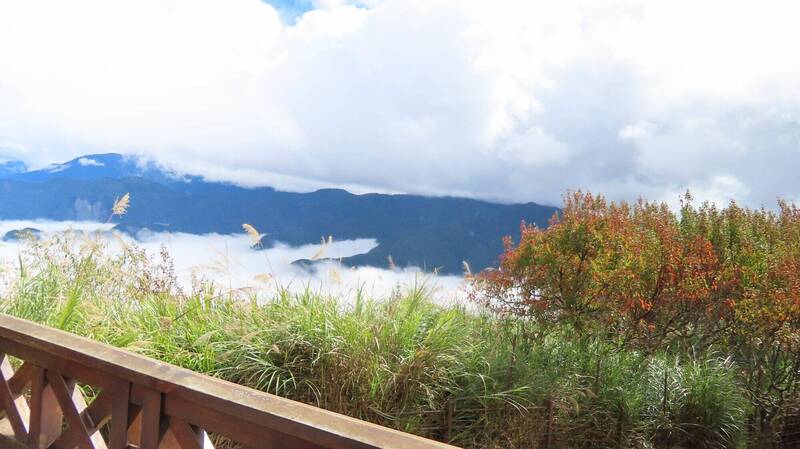 生態觀察家蘇家弘今到小笠原山拍攝到紅葉伴隨壯觀雲海美景，雖然剛好遇到地震，遊客忙著看美景都很淡定。（圖由蘇家弘提供）