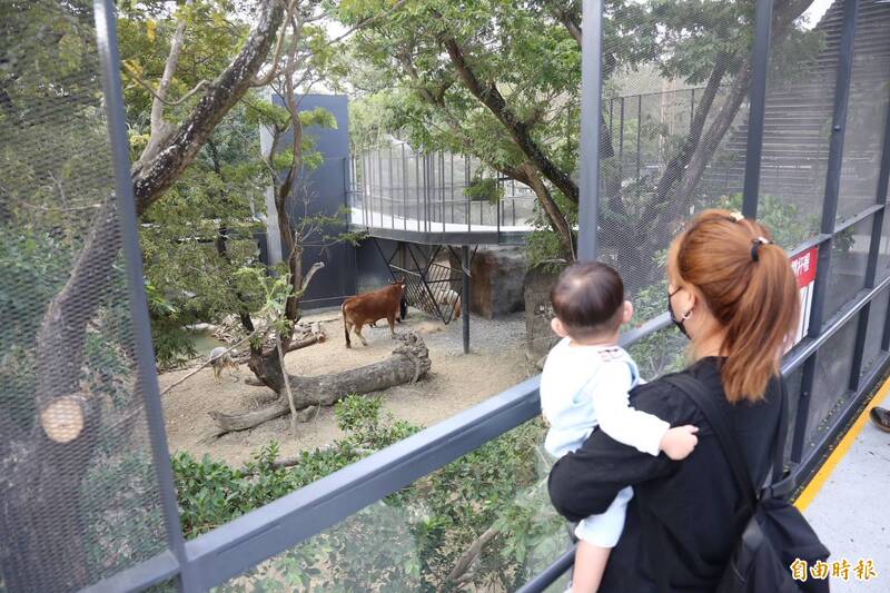 壽山動物園今天早上9點重新開園試營運。（記者李惠洲攝）