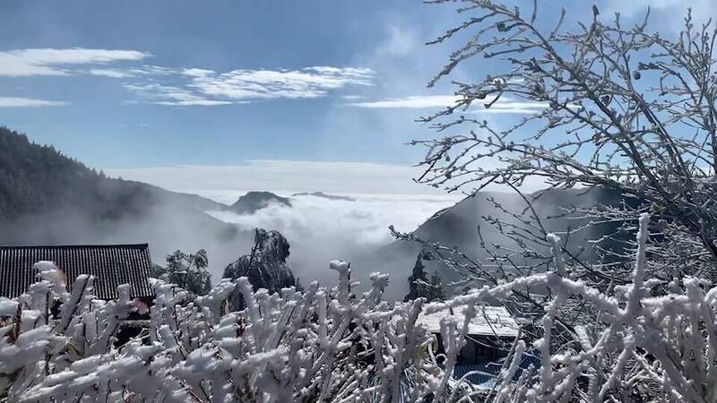 太平山出大景，霧淞搭配藍天白雲及壯觀雲海，遊客讚嘆連連。（圖由羅東林管處提供）