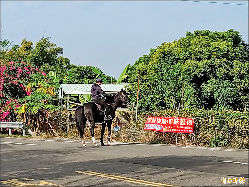 馬主人先讓馬兒走一段平路，安撫一下情緒。（記者蘇福男攝）