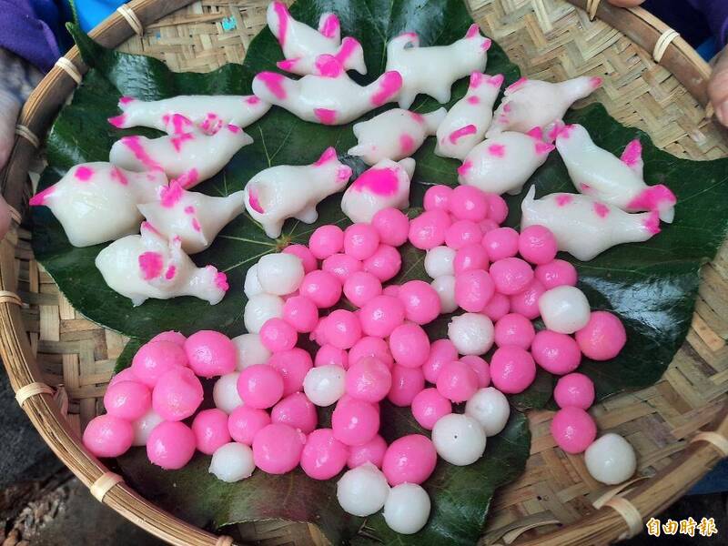 澎湖雞母狗經過時代變化，已成為繽紛多彩的特色觀光。（記者劉禹慶攝）