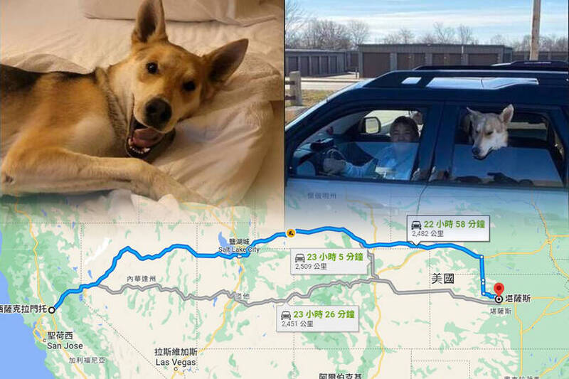 怎麼去的？加州狗狗失蹤1年多 在2575公里外堪薩斯州現身