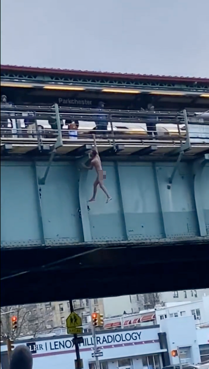 男子裸體懸掛在紐約車站防護欄外 墜地抽搐影片曝光
