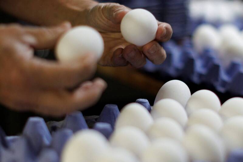 美国部分地区蛋价是全国均价的2倍或更多，加州一打鸡蛋就要7.37美元（约新台币224元）。加州鸡蛋示意图。（路透）(photo:LTN)