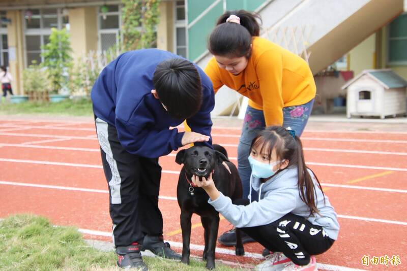 嘉義縣東石鄉三江國小的校犬黑妞，有如孩子的守護神。（記者林宜樟攝）