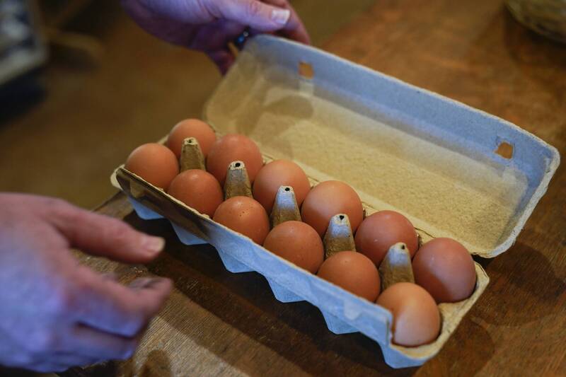 纽西兰近期又爆发「缺蛋荒」，自政府十年前提出禁止笼饲鸡蛋的政令后，许多养鸡户选择退出或採取转型散养方式，造成鸡蛋时常供应不足，价格上涨。（美联社资料照）(photo:LTN)