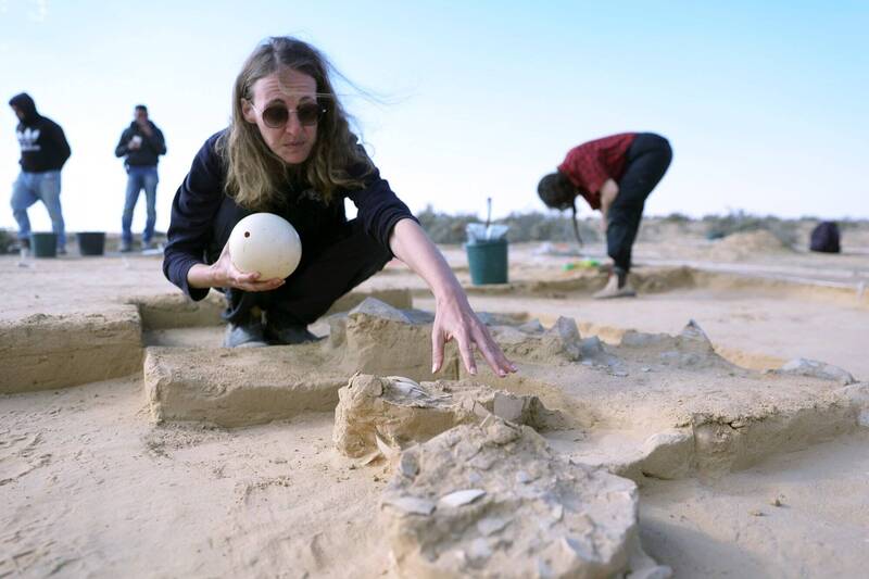 以色列文物局12日在内盖夫沙漠挖到8颗史前鸵鸟蛋，这些蛋有4千到7千年历史。（欧新社）(photo:LTN)