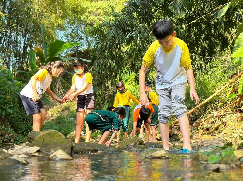 嘉義市精忠國小小小背包客社團學生，探索校園後方的野溪生態。（精忠國小提供）