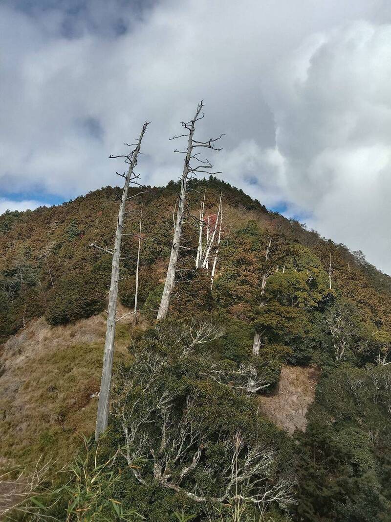 南投縣仁愛鄉守城大山海拔2420公尺，為「埔里六秀」之首。（資料照）