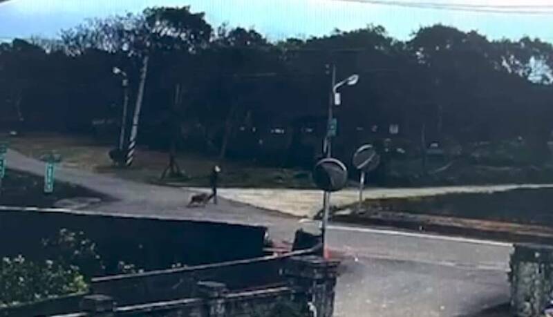 婦人失蹤9天,警方尋獲遺體。(民眾提供) 婦人失蹤9天,警方尋獲遺體。(民眾提供)