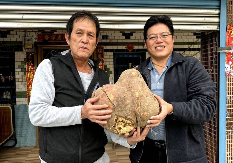 布袋鎮長蔡瑋傑（右）笑說，超級大地瓜是「布袋第一薯！」（記者林宜樟翻攝）