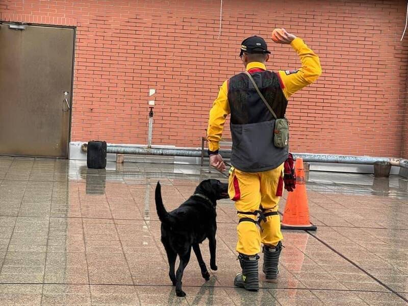 桃園市政府消防局的搜救犬尚未前往災區救災。（桃園市政府消防局提供）