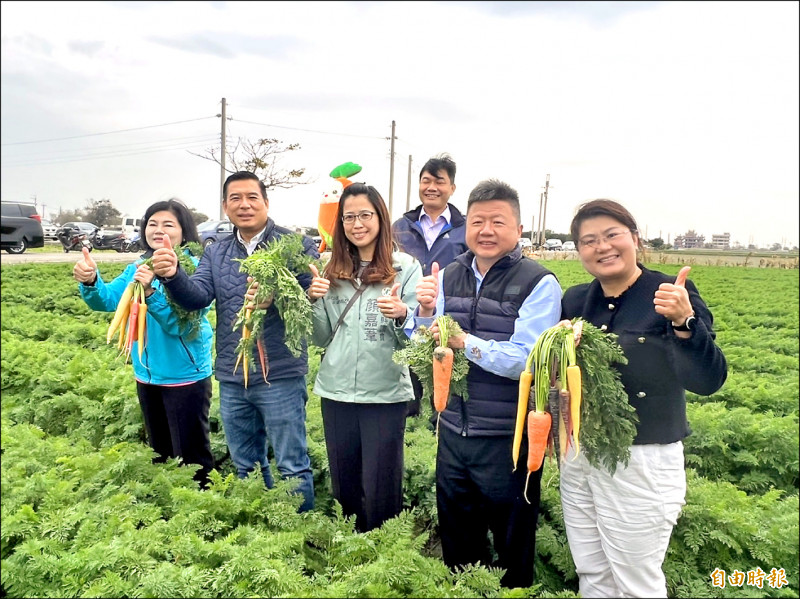 雲林東勢鄉是台灣胡蘿蔔種植面積最大、產值最高的鄉鎮。
（記者黃淑莉攝）