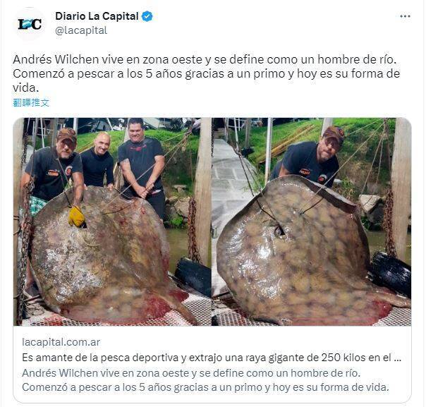 42歲漁夫日前與其他船員乘船捕魚時，在巴拉那河花費2個多小時釣到一隻重達250公斤巨型魟魚。（圖擷取自「@lacapital」推特）