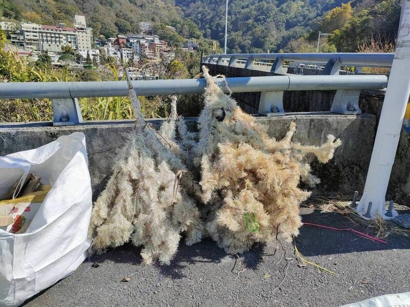 玉山國家公園管理處在東埔清理環境，除了清出可回收的垃圾，還有塑膠耶誕樹等。（玉管處提供）