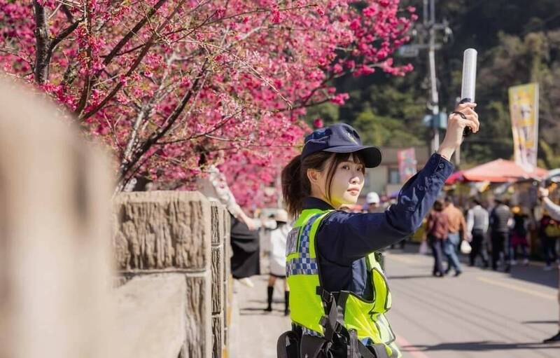 台中市警局安排女警於泰安櫻花季指揮交通，照片PO網後引發熱議。（擷取自台中市警局臉書專頁）