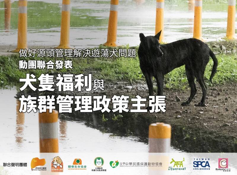 動物保護立法運動聯盟1日發表聲明，提出「犬隻福利與族群管理政策主張」，呼籲政府與各界做好源頭管理，解決遊蕩犬（流浪狗）問題。（動督盟提供）