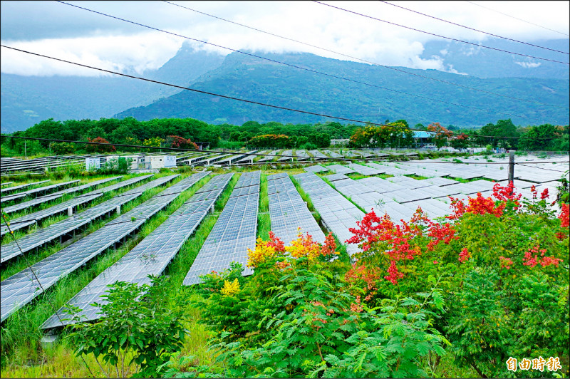 鳳林鎮的太陽光電面積廣大，東華大學啟動環境基礎調查，盼釐清周邊生態環境是否因光電場開發造成影響。（記者花孟璟攝）
