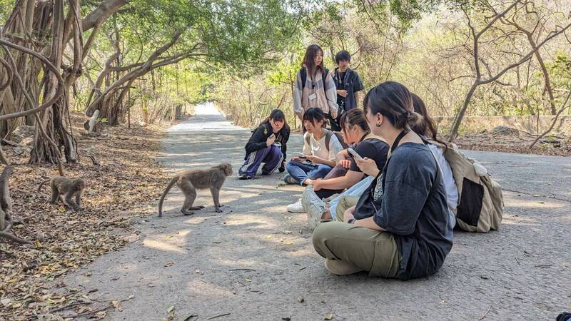 來自日本的交換生在高雄柴山與獼猴群接觸。（高醫大提供）