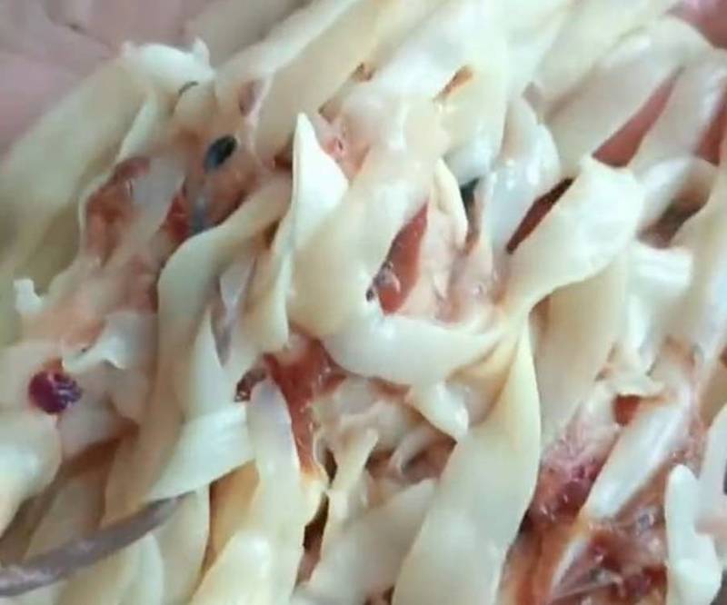 噁！活魚剖腹赫見滿肚子「刀削麵」 她煮熟照吃才知是寄生蟲
