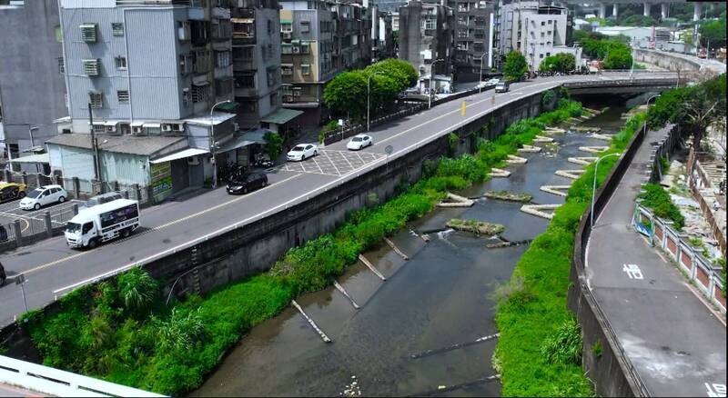 新北市水利局推動泰山大窠坑溪整治工程，經生態專家調查，發現該區物種數量61種、總量達977隻，顯示生態回歸。（圖由水利局提供）