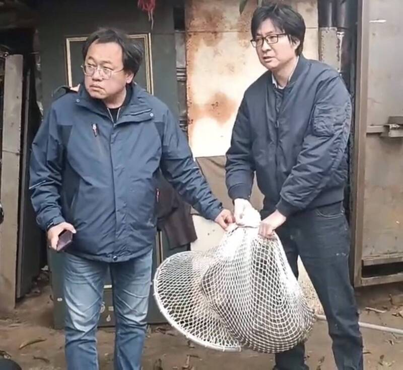 桃園市政府農業局獲報派員趕楊梅區中正路某處民宅帶回已躲藏被關在屋內的狒狒，農業局說明第一時間並不知道狒狒中了獵槍。（桃市府農業局提供）