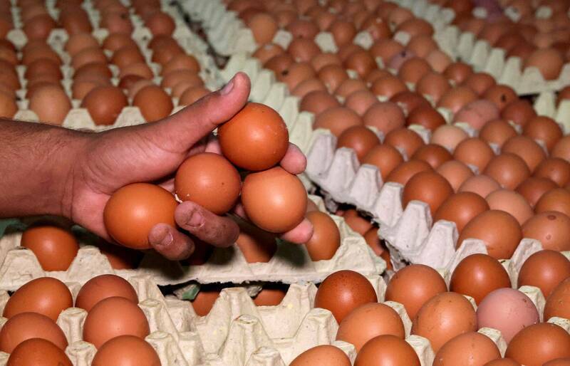 美国蛋价急遽上涨，令政治人物怀疑当中出现哄抬物价问题。（路透资料照）(photo:LTN)