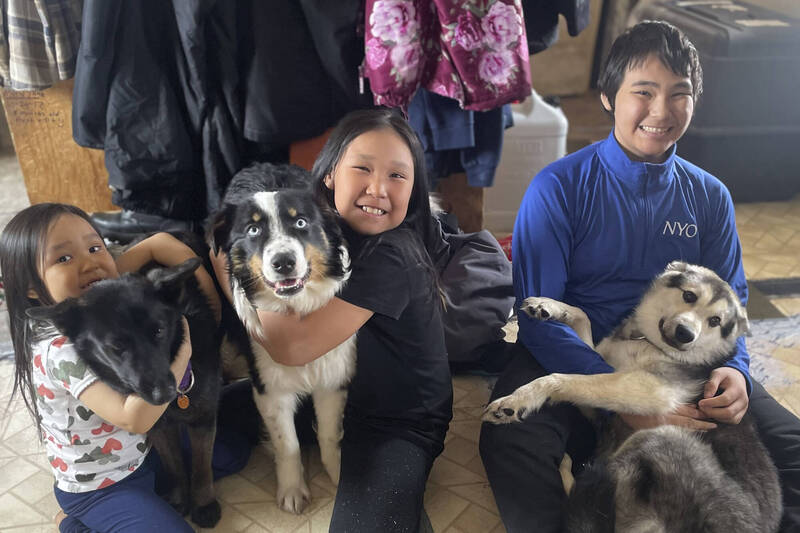 走失牧羊犬冰天雪地跋涉240公里  1個月後終於返家